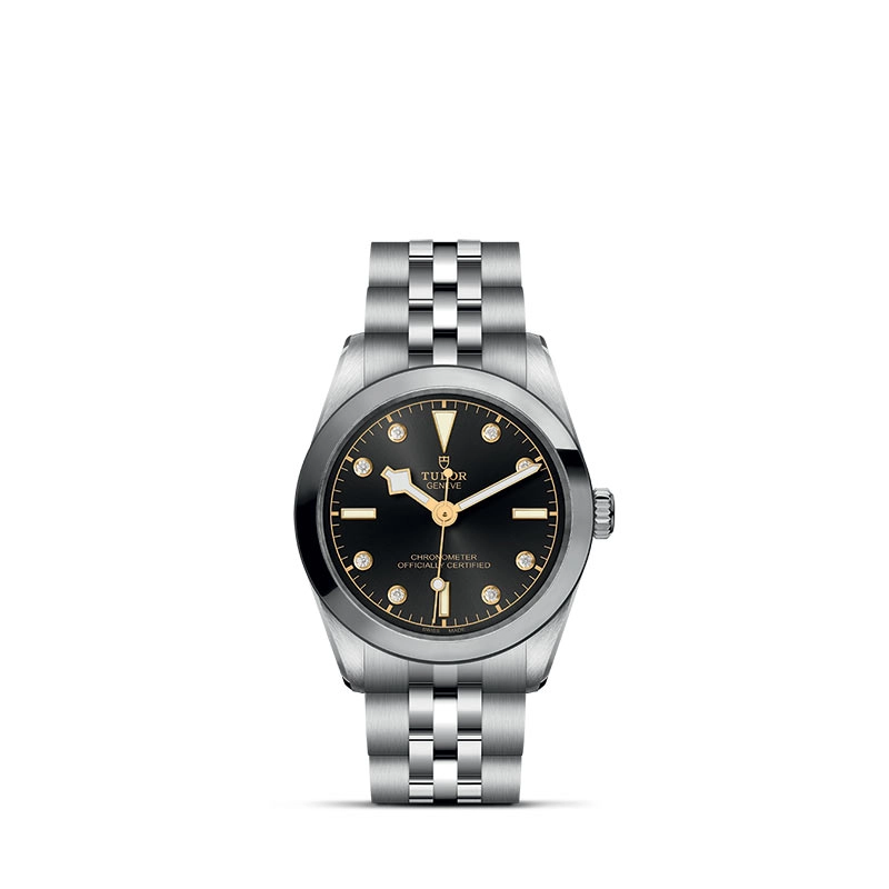 TUDOR Black Bay 31