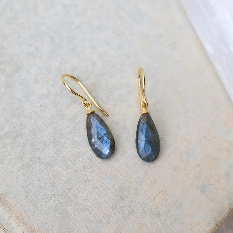 Wire Faceted Labradorite Earrings