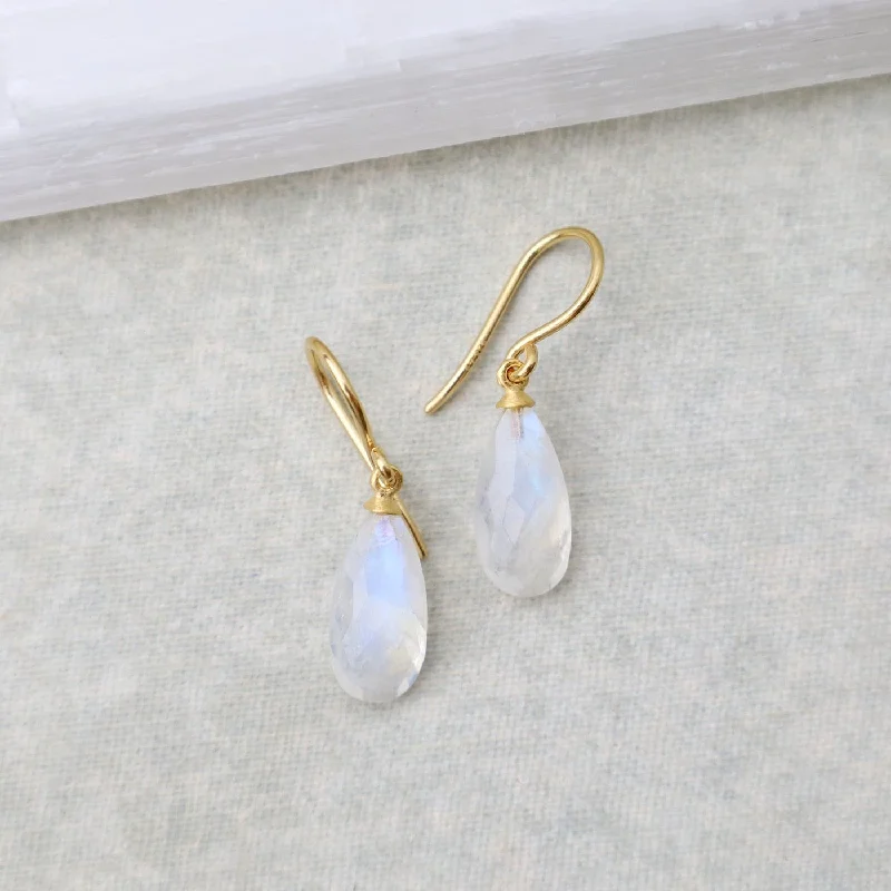 Wire Faceted Rainbow Moonstone Earrings